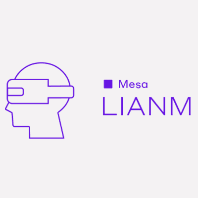 Head coordinator for the Immersive Technologies and future metaverse of the LIANM