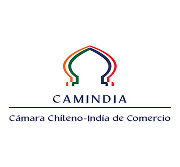 Webinar CAMINDIA «La industria XR y sus beneficios»
